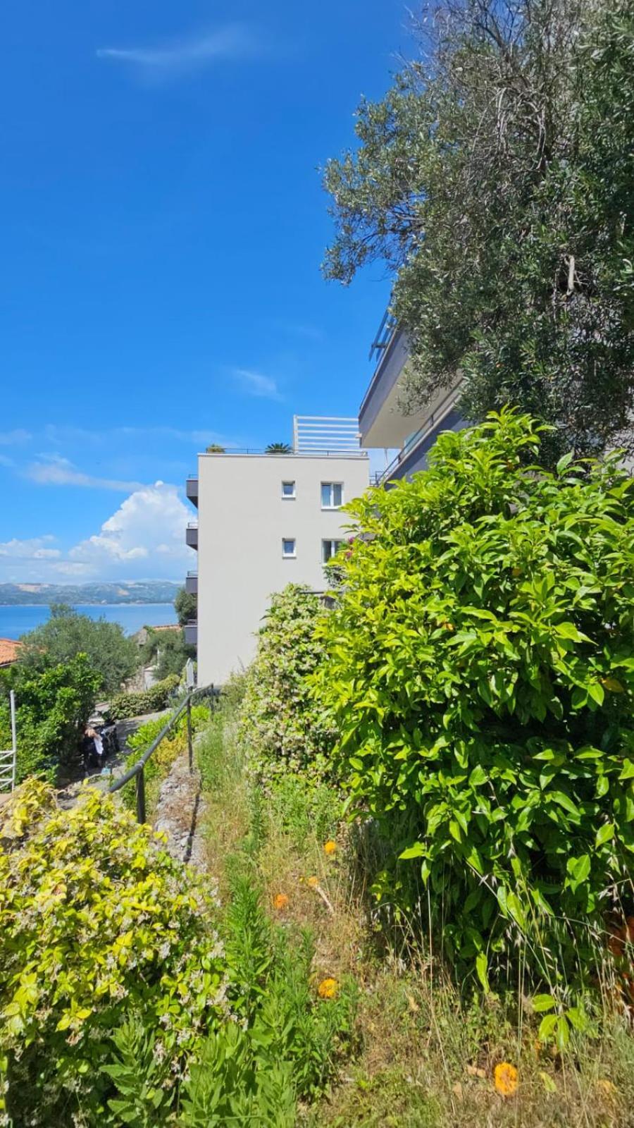 קאבטאט Residence Alpha Apartments מראה חיצוני תמונה